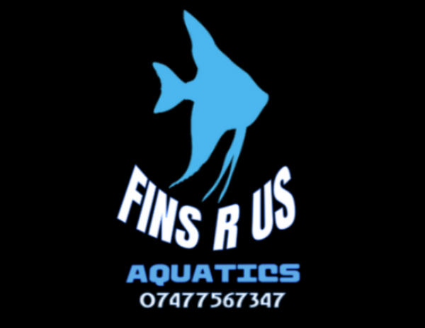 Fins R Us